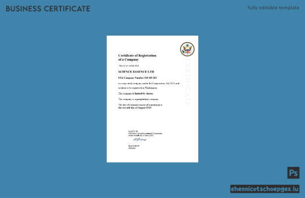 Beispiel eines US-amerikanischen Gewerbeanmeldungszertifikats (Word- und PDF-Datei)